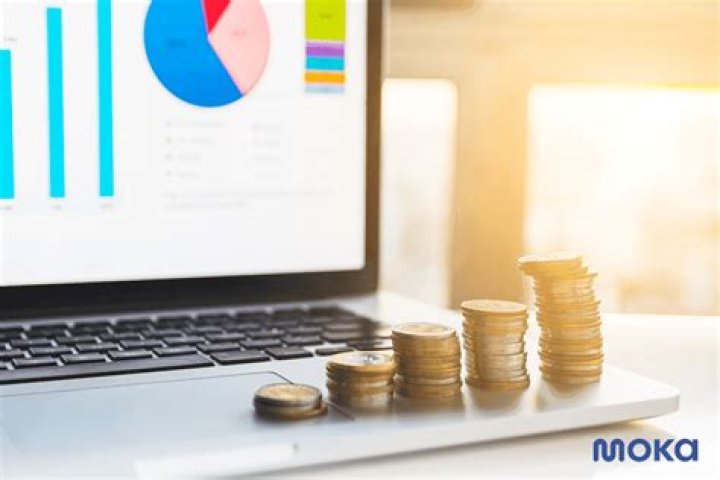 Apa itu budget plan?