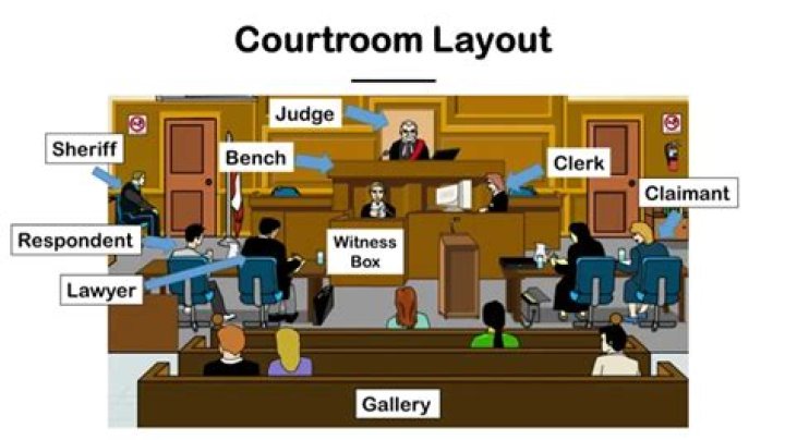 Are lawyers who go to court called litigators?