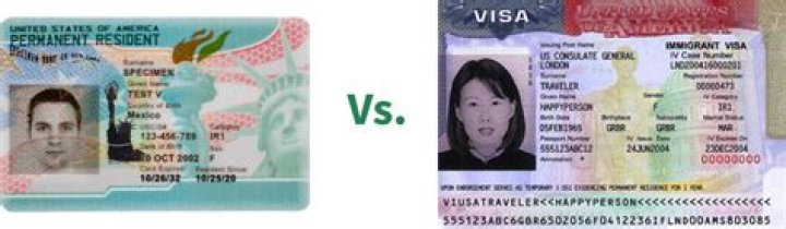 Can a G4 visa holder work?