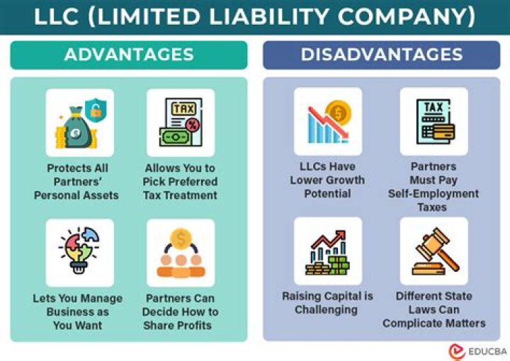 Can a limited liability company have two owners?