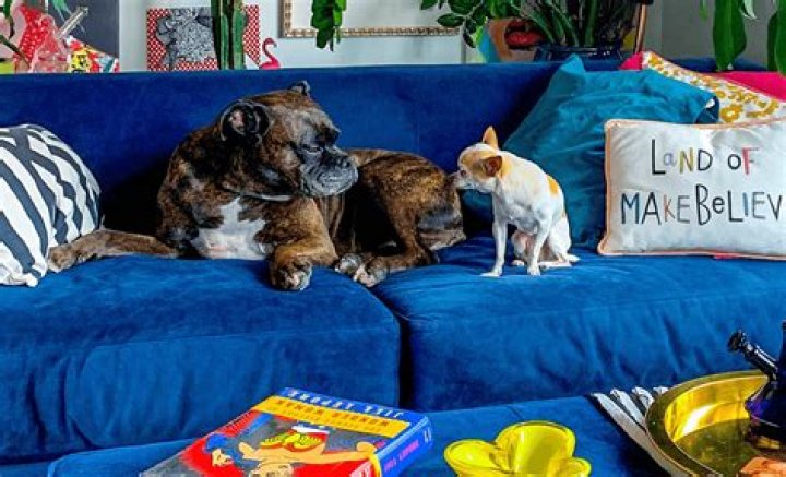 Can anyone help with rent arrears?