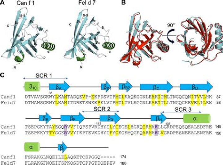 Can F-1 students enter the US?