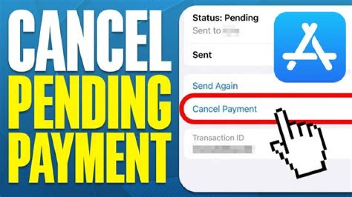 Can I cancel a payment thats processing?