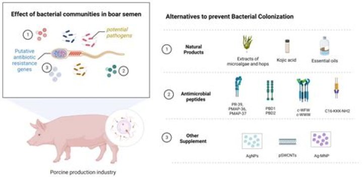 Can I still get stimulus check if I was claimed as a dependent?