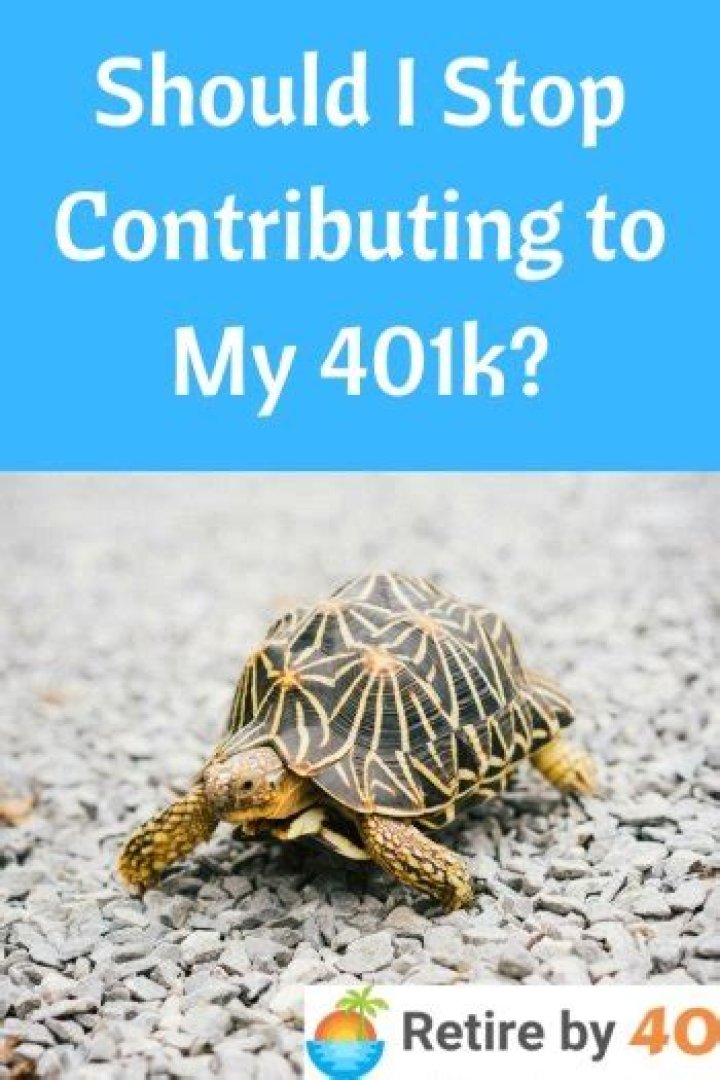 Can I stop contributing to my 401K and cash out?