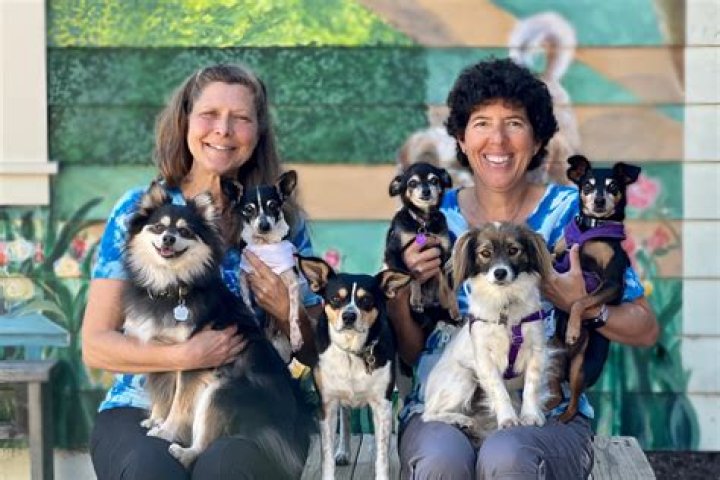 Can I take a loss on a stock and buy back?