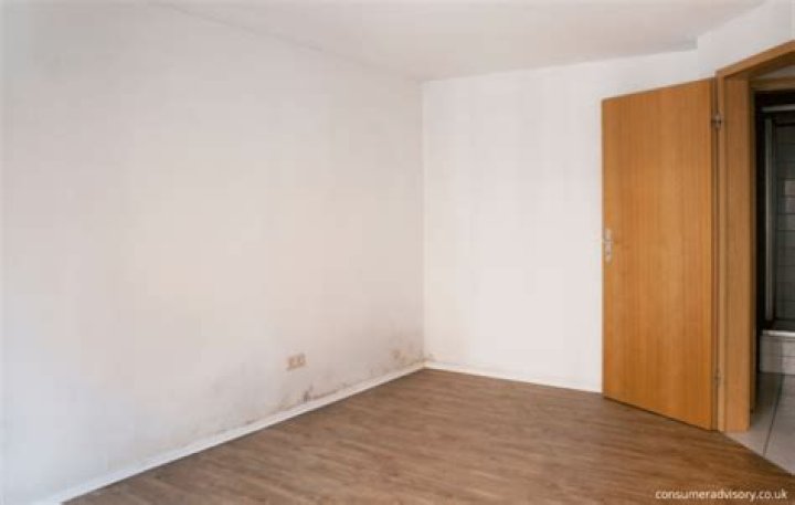 Can I withhold rent for Mould?