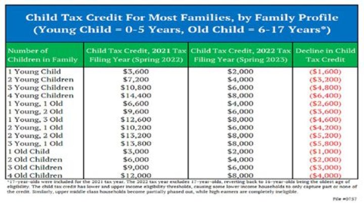 Can IRS take Child Tax Credit for back taxes?