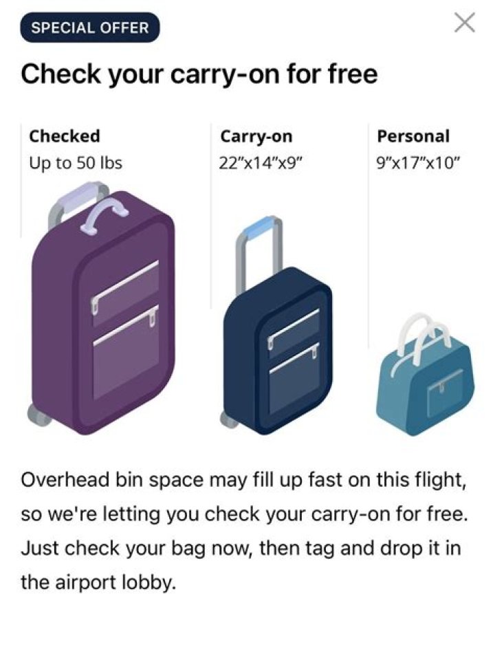 Can kids take carry on bags?