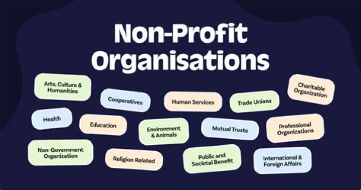 Can one person control a non-profit?