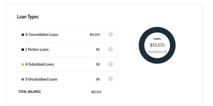Can PPP loans be used 100% for payroll?