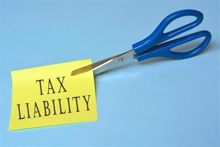 Can you get a tax loan if you owe the IRS?