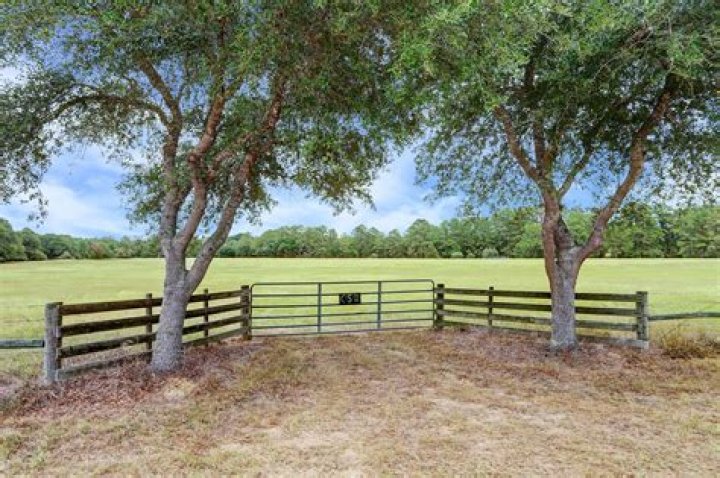 Can you get an ag exemption on 5 acres in Texas?