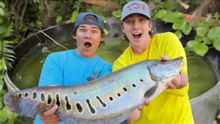 Can you make a living off bass fishing?