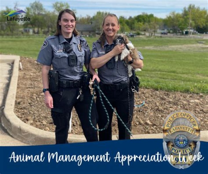 Do animal control officers make good money?