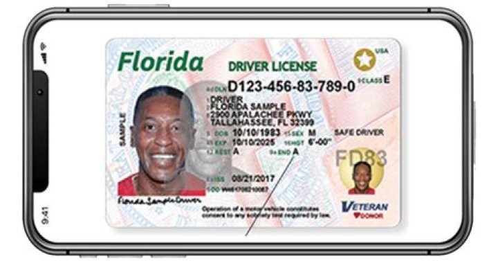 Do bartenders need a license in Florida?