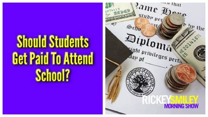 Do BSc students get paid?