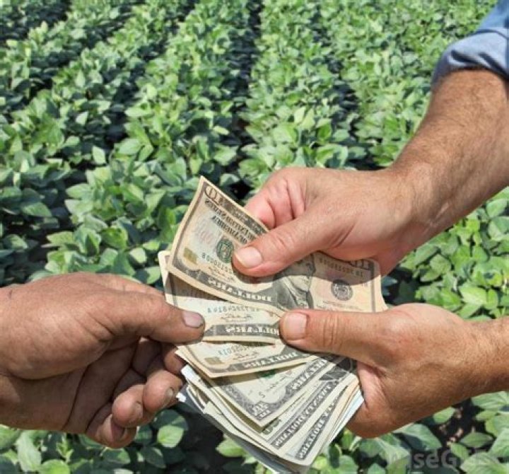 Do farmers get paid less?