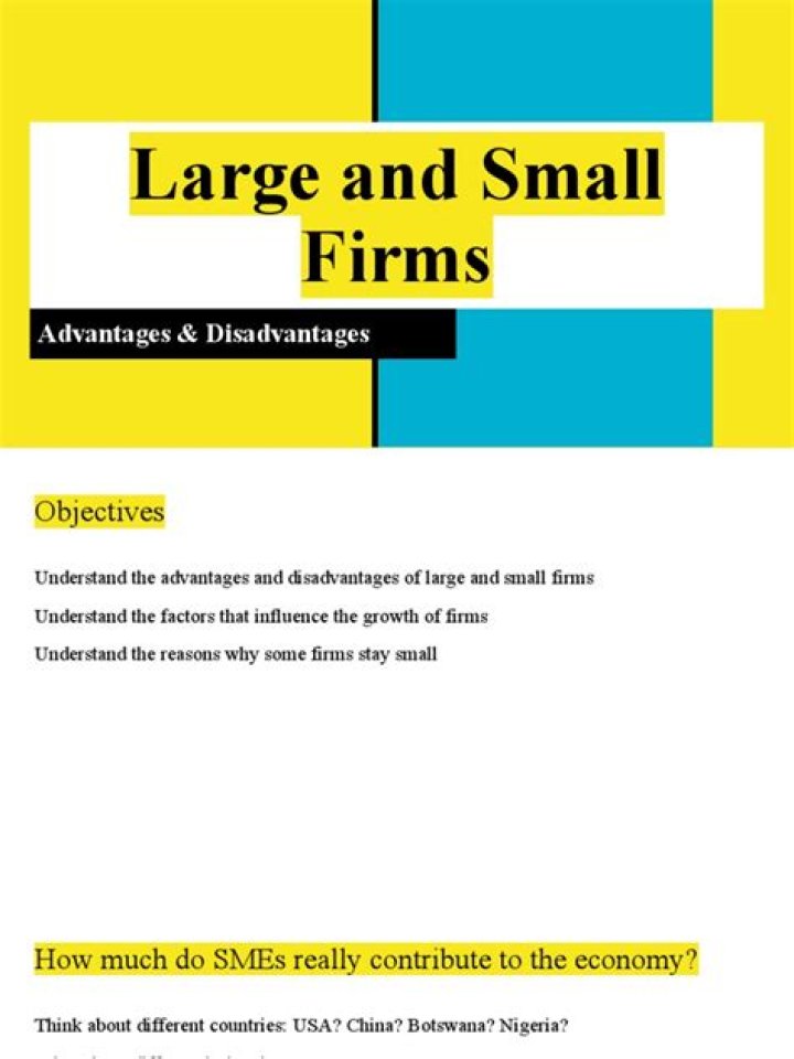 Do large and small firms have the same processes?