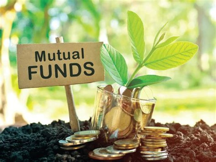 Do mutual funds allow you to diversify?