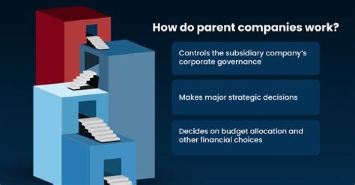 Do parent companies have to own 100%?