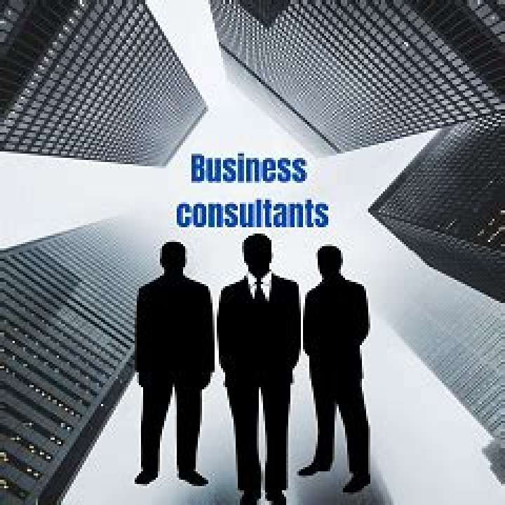 Do small businesses hire consultants?