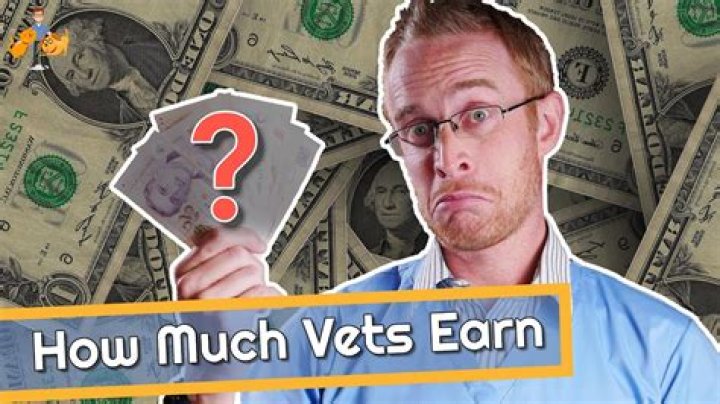 Do vets make a good amount of money?
