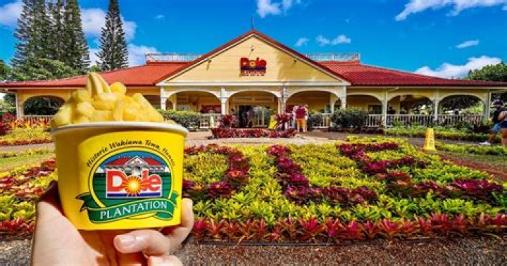 Do you have to pay to get into Dole Plantation?
