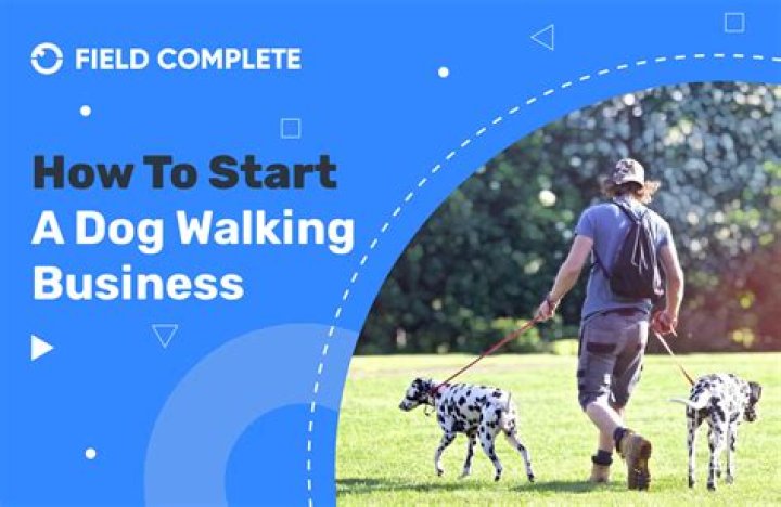 Do you need anything to start a dog walking business?