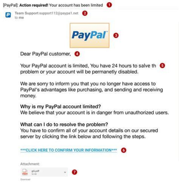 Does PayPal report activity to IRS?