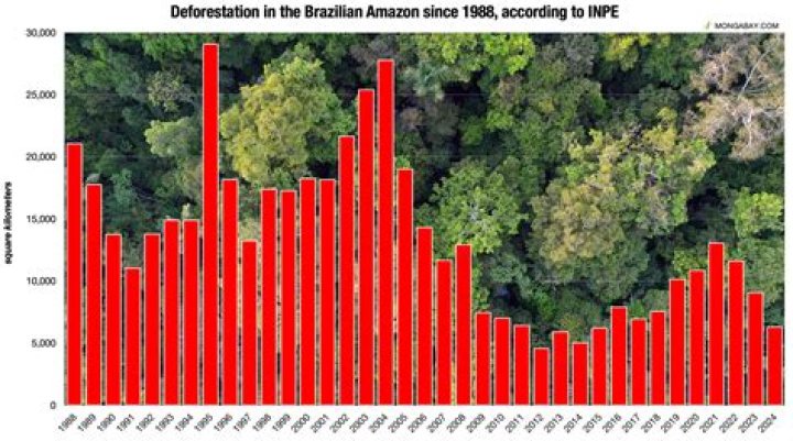 Does rubber tapping cause deforestation?