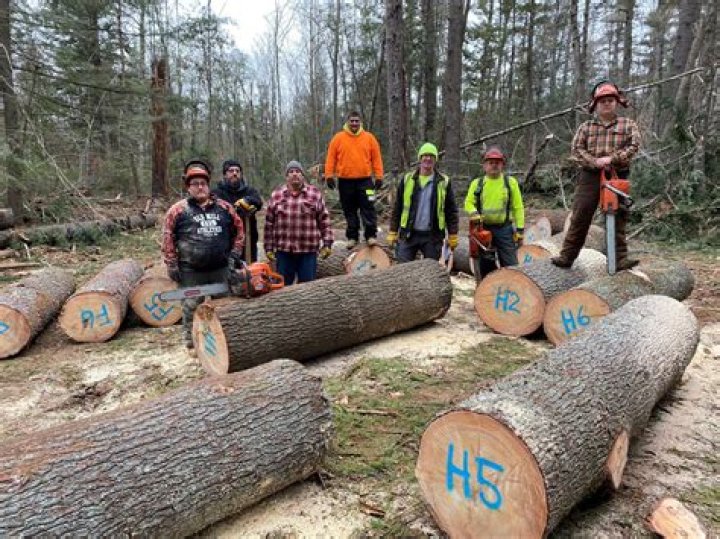 How are lumberjacks paid?
