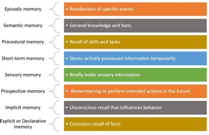 How are memory tests useful in psychology?