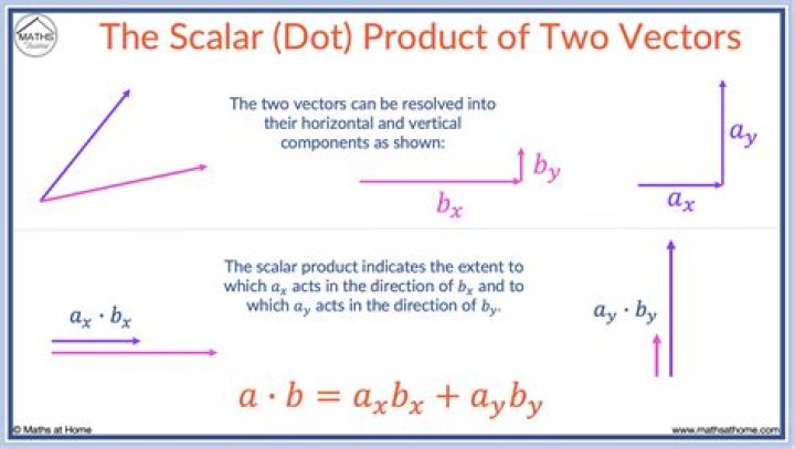 How are vectors different from hosts?