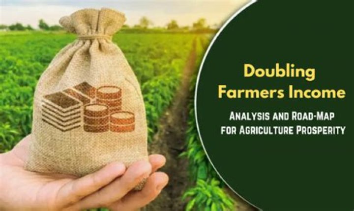How can farmers income be doubled?