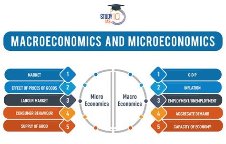 How can microeconomics help me?