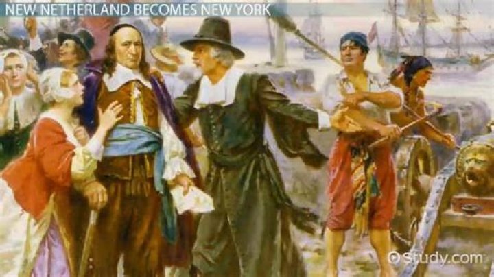 How did the New Amsterdam colony make money?