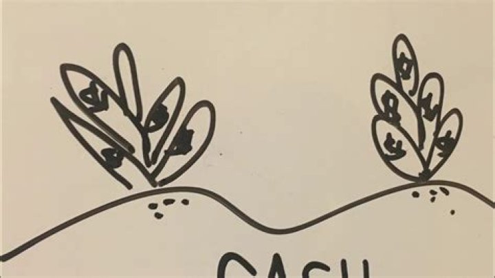 How did the settlers make money?