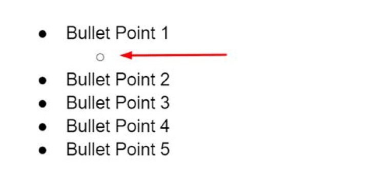 How do I make a second bullet point?
