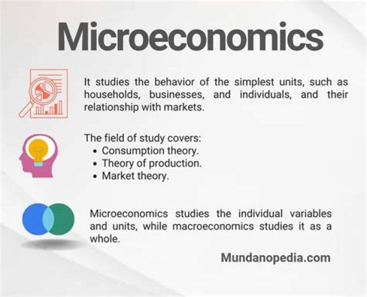 How do I study for microeconomics?