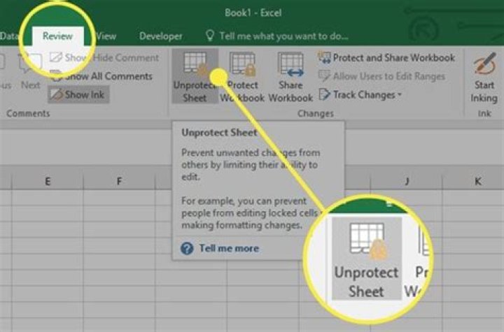 How do I unprotect a read only Excel sheet?