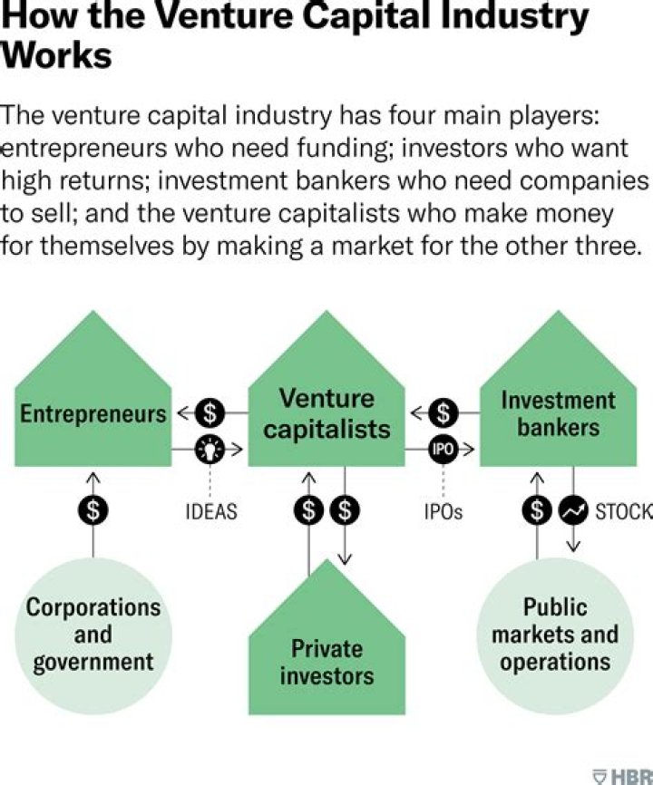How do venture capitalists invest?