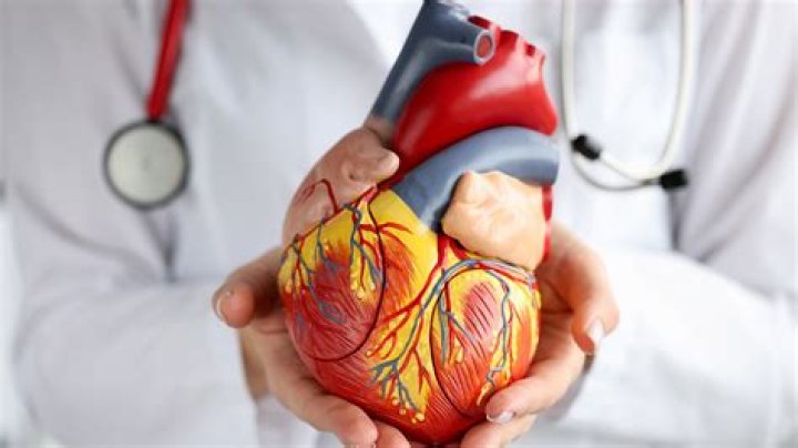 How do you become a cardiovascular specialist?