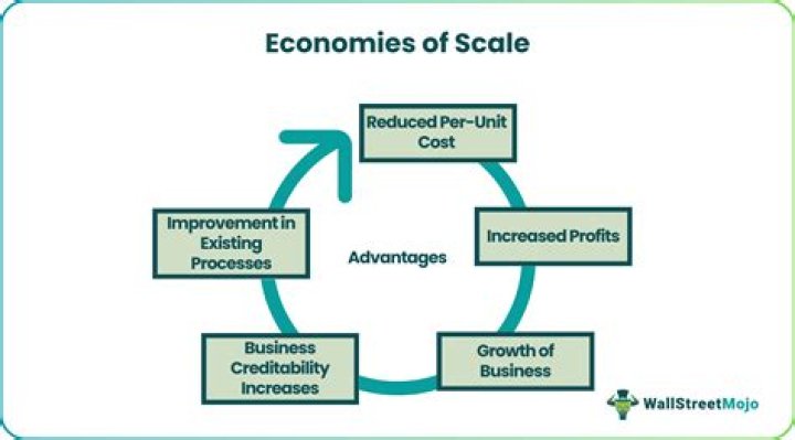 How do you determine economies of scale?