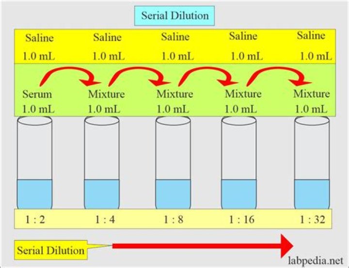 How do you do a 1/4 dilution?