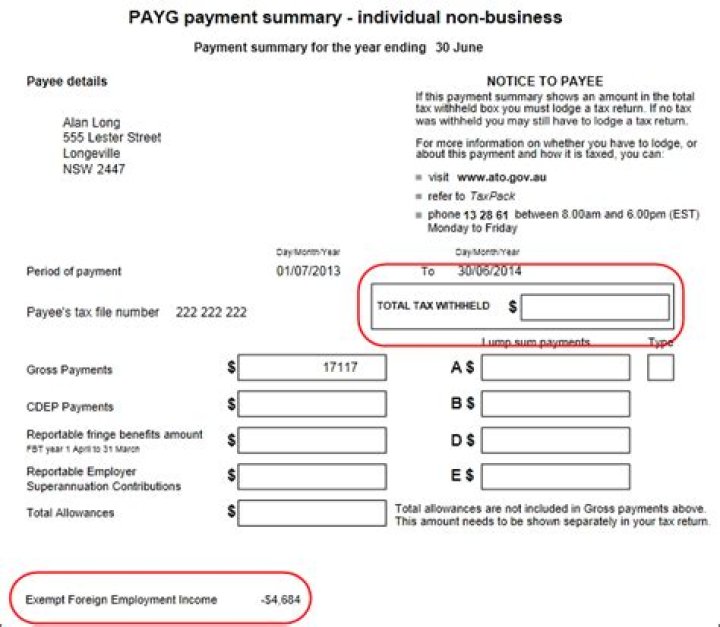 How do you get a copy of your PAYG summary?