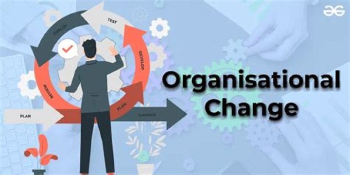 How do you transform an organization?