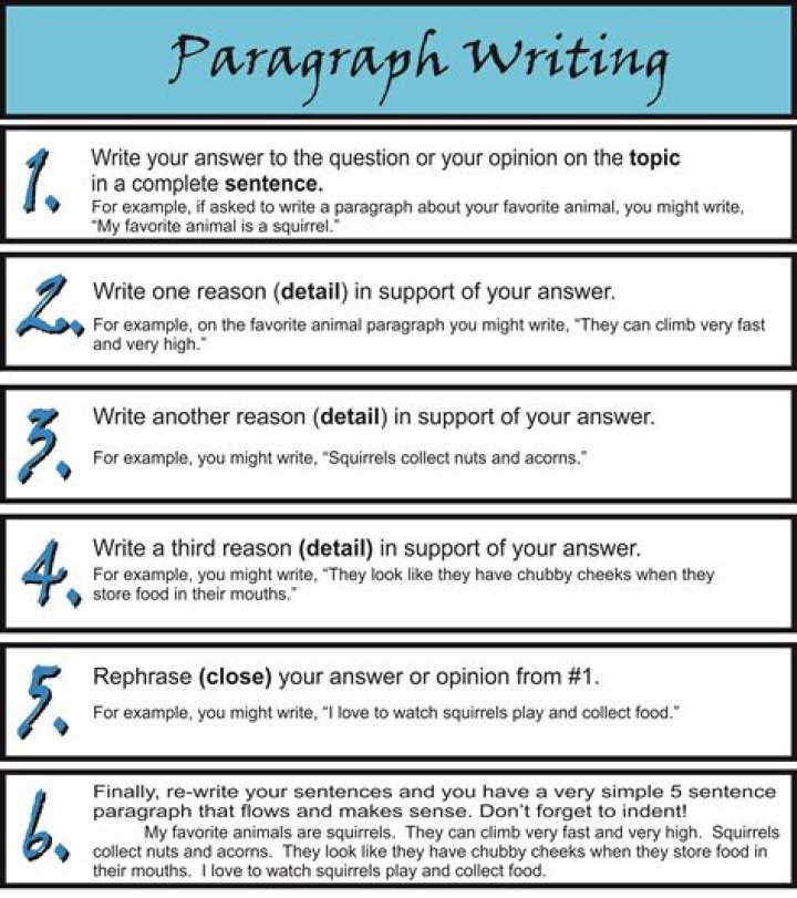 How do you write a 2 3 paragraph essay?