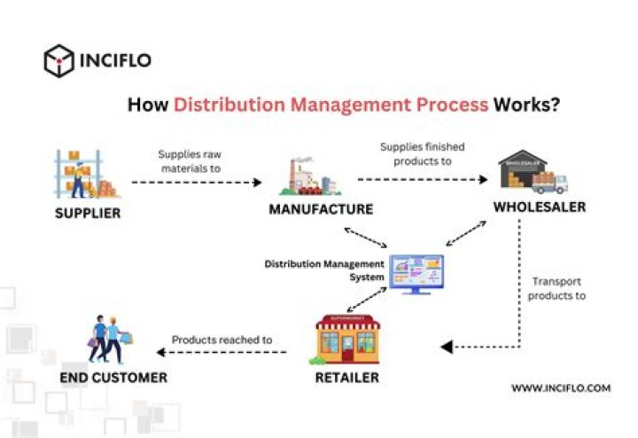 How does distribution model work?