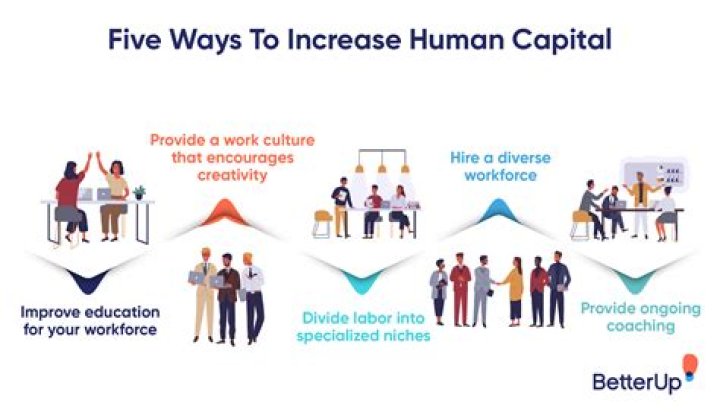 How does human capital influence training?